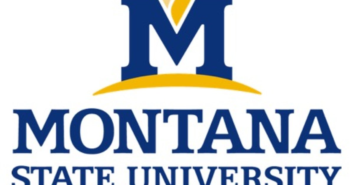 Montana State University 