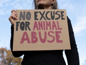 Woman holding placard sign with text No Excuse for Animal Abuse