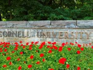 The entrance sign of Cornell University surrounded by red flowers in the spring