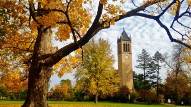 Iowa State campanile in the fall.
