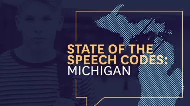 Michigan report