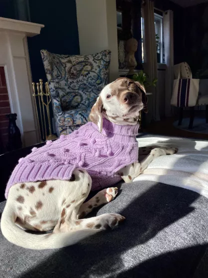 FIRE Mascot Jolene wearing a knitted sweater