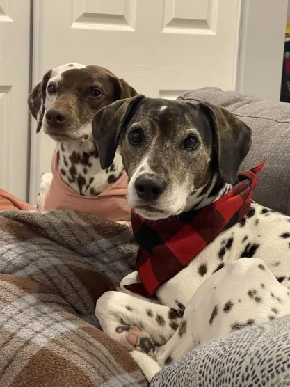 FIRE Mascots Jasper (right) and Jolene (left) sitting on the couch