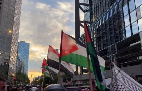 Pro-Palestinian protesters wave flags outside the 2024 DNC in Chicago