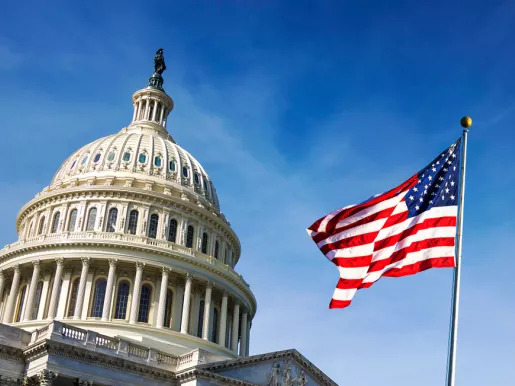 American flag waving with the Capitol Hill in the background